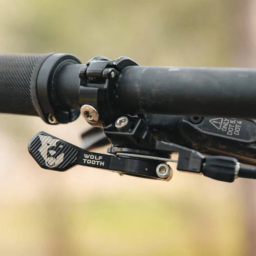 Wolf Tooth ReMote Pro Handlebar Clamp Mount