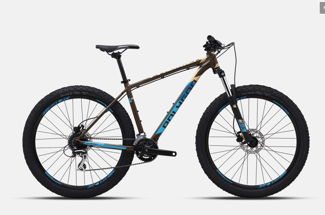 2022 Polygon Premier 4, Mountain Bike