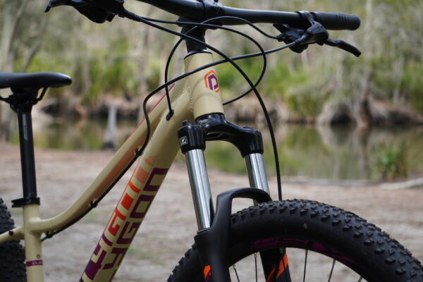 polygon cleo 2.0 2019