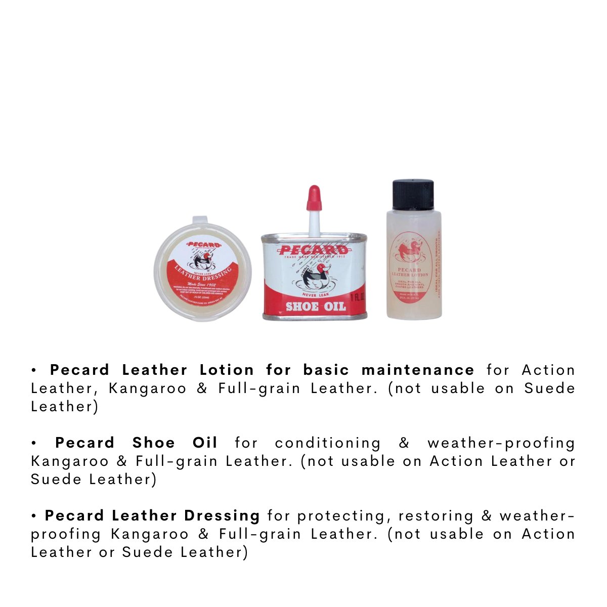 LAKE Leather Shoe Kit