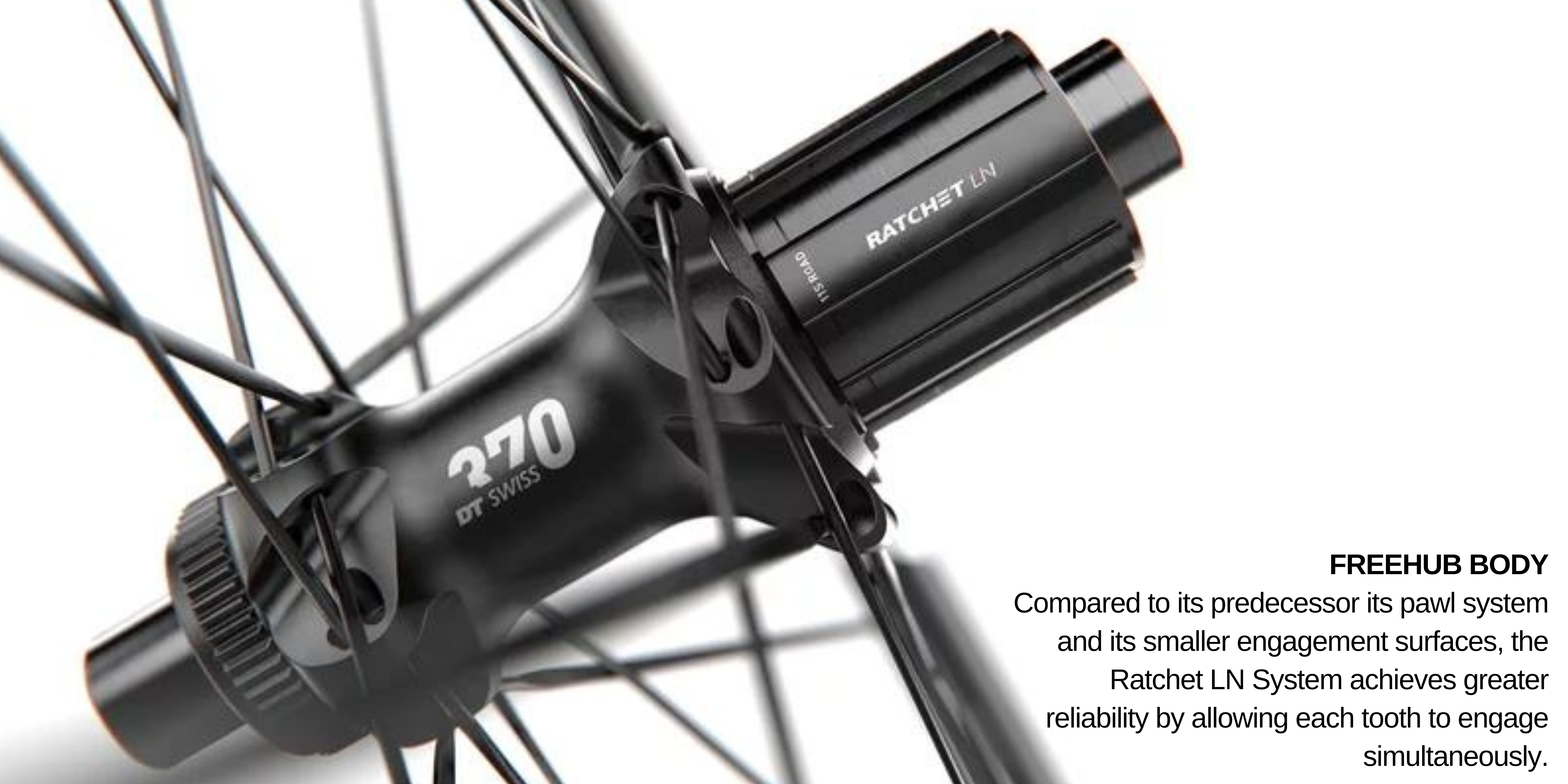 DT Swiss C 1800 SPLINE® | The Bike Settlement